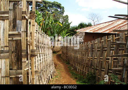 Afrika-Äthiopien-Omo Region Chencha Dorze village Stockfoto