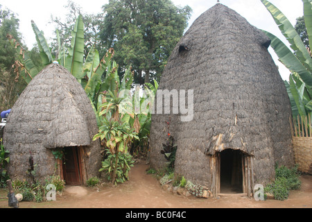 Afrika-Äthiopien-Omo Region Chencha Dorze Village traditionellen Elefanten geprägt Strohhütte Stockfoto