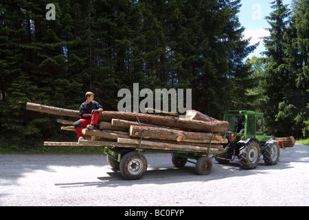 Eine Zugmaschine und Anhänger, beladen mit frisch Schnittholz auf einer Mountainbike-Strecke im österreichischen Tirol Stockfoto