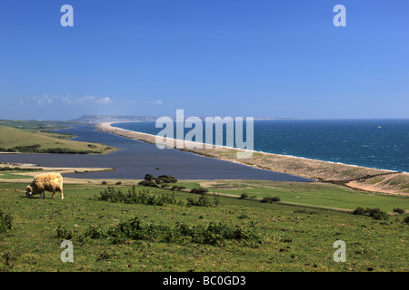 Anzeigen von Chesil Beach von Abbotsbury tropischen Gärten, Dorset, England Stockfoto