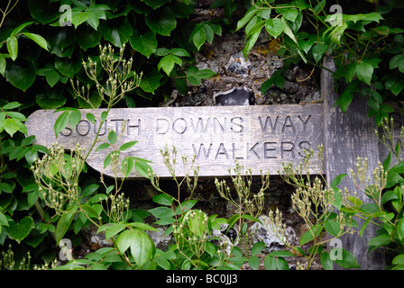 South Downs Way Fernwanderweg Wegweiser in der Nähe von Exton Hampshire England Stockfoto