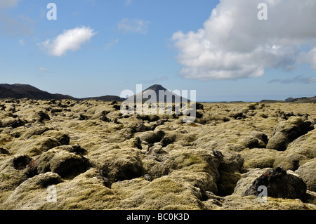 Moosigen Lavastrom und Krýsuvíkur Maelifell Vigdisarvellir Tal Reykjanes Halbinsel Island Stockfoto