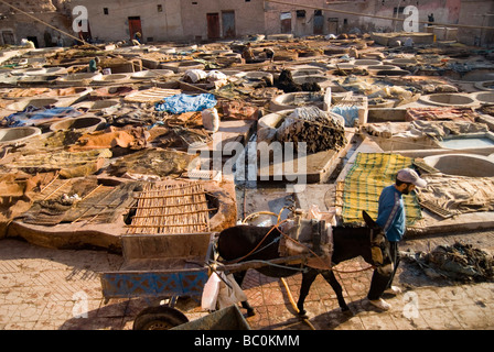 Ein Mann mit seinem Esel gezogenen Wagen in der Gerberei in Marrakesch Marokko Nordafrika morgens arbeiten Stockfoto