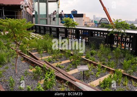 Bauunternehmer in einer Hubarbeitsbühne weiterhin arbeiten an der neu eröffneten High Line Park im New Yorker Meat Packing District. Stockfoto