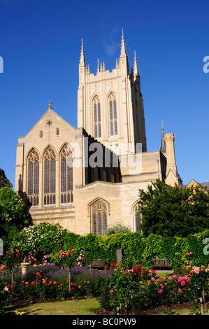 St Edmondsbury Cathedral angesehen von den Rosengarten in den Klostergarten, Bury St Edmunds, Suffolk England UK Stockfoto