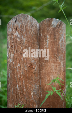 Zwei verrottete Zaunverkleidungen Stockfoto