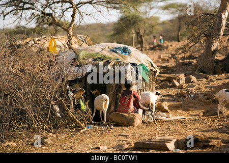 Samburu Frau Melken Ziege von Home - Samburu Dorf - in der Nähe von Buffalo Springs National Park, Kenia Stockfoto