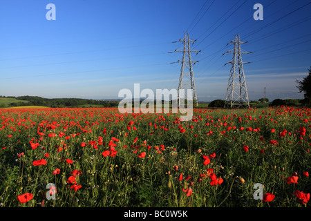 Zwei Getriebe Strommasten stehen unpassend in einem Feld von Mohn Stockfoto