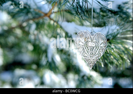 Weihnachten Silber Herzform Ornament auf AST österreichische Schwarzkiefer (Pinus Nigra) im Schnee mit Textfreiraum Stockfoto