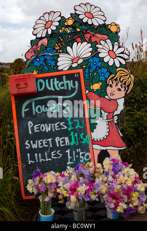 Ehrlichkeit, und Ständer für Straßenkontrollen Blumen für den Verkauf an Trewannack, Cornwall, Großbritannien Stockfoto