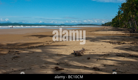 Tropischer Strand im Cairns Region Queensland in Australien. Stockfoto