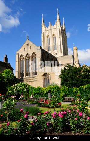 St Edmundsbury Cathedral gesehen von der Rose Garden in den Klostergarten, Bury St Edmunds Suffolk England UK Stockfoto