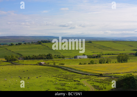 Blick über Tyne Valley in Richtung einmal gebraut Gastwirtschaft von Hadrian Wand Stockfoto