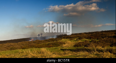 Heather Brennen auf North Yorkshire Moors Stockfoto