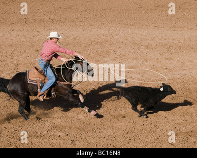 Ein Kalb roping Wettbewerber bei der Arbeit in der Tucson-Rodeo. Stockfoto