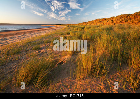 Whiteford Sande Gower West Glamorgan South Wales UK Stockfoto