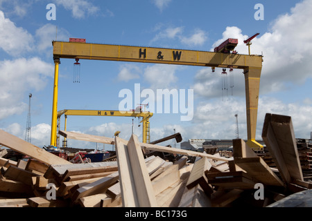 Samson und Goliath in Harland Wolff Werft, Insel der Königin, Belfast, Nordirland, Vereinigtes Königreich Stockfoto