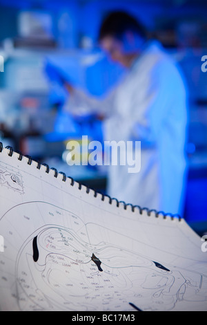 Forschungsarbeit Schule der Psychologie Cardiff University South Glamorgan South Wales UK Stockfoto