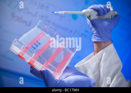 Forschungsarbeit Schule der Psychologie Cardiff University South Glamorgan South Wales UK Stockfoto