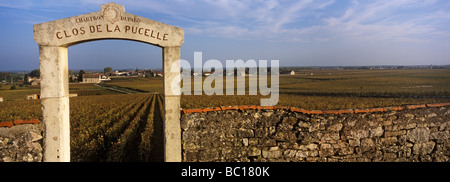 Frankreich, Cote d ' or, Puligny Montrachet, Portal zum Weinberg Clos Les Pucelles Stockfoto