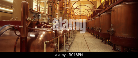 Frankreich, Maine et Loire, Umgebung von Angers, Saint Barthelemy d ' Anjou, Cointreau Fabrik, pot Stills Stockfoto