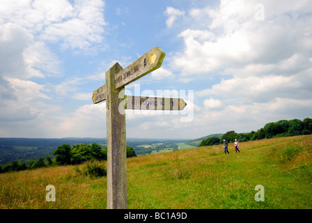 North Downs Way in der Nähe von Dorking post anmelden Stockfoto