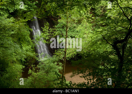 Fallende Foss Wasserfall im Sneaton Wald in North Yorkshire Dales Stockfoto