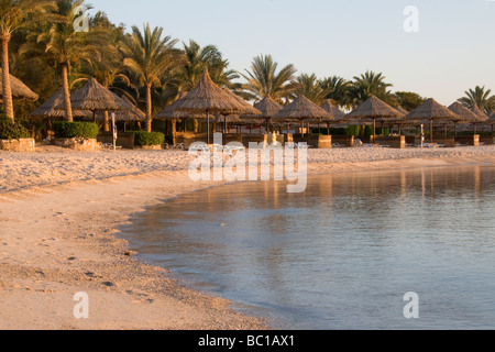 Sonne Loungerson eine einsame Palme Strand gesäumt Stockfoto
