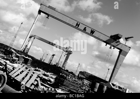 Samson und Goliath in Harland Wolff Werft, Insel der Königin, Belfast, Nordirland, Vereinigtes Königreich Stockfoto