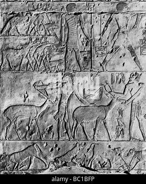 Einer Jagdszene aus dem Grab des Ptahhotep, in der Nähe von Sakkara, Ägypten, c 2650 BC (1936). Artist: Unbekannt Stockfoto