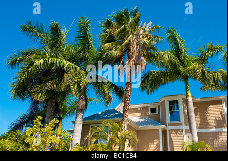 Palmen und Holzhaus gegen blauen Himmel in der Truman Annex in Key West Florida Stockfoto