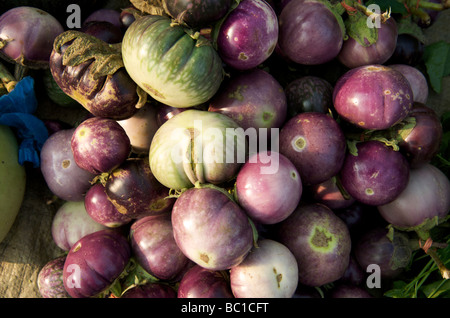 Lila Auberginen auf einem Markt in Luang Prabang Laos Stockfoto