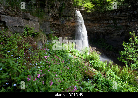 Hardraw Kraft angeblich Englands höchste Freefall Wasserfall obere Wensleydale Yorkshire Dales National Park Stockfoto