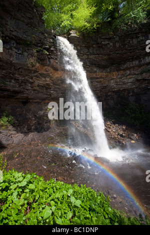 Hardraw Kraft angeblich Englands höchste Freefall Wasserfall obere Wensleydale Yorkshire Dales National Park Stockfoto