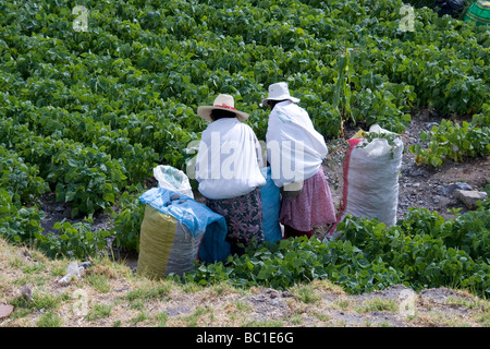 Arequipa-Tal Stockfoto