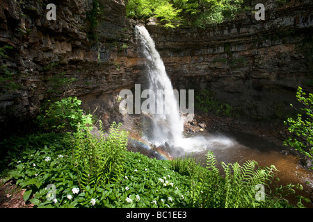 Hardraw Kraft angeblich Englands höchste Freefall Wasserfall obere Wensleydale Yorkshire Dales National Park Stockfoto