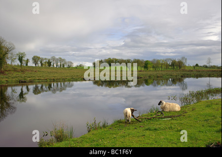 oberen Lough Erne River Erne Grafschaft Fermanagh enniskillen Stockfoto