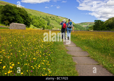 Ein Spaziergang durch die Blume gefüllt Sommer Mähwiesen an Muker, Swaledale in Yorkshire Dales Stockfoto