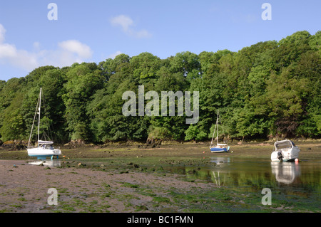 Sandy Haven Milford Haven Pembrokeshire Wales UK Europa Stockfoto