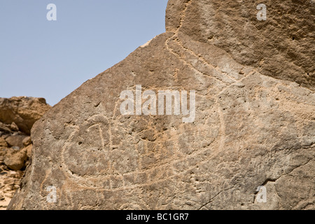 Felszeichnungen in der östlichen Wüste von Ägypten, Nordafrika Stockfoto