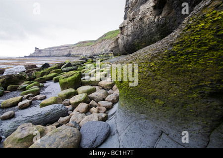 Niedrigen Niveau Klippe und Strand Details von der Whitby Küste zeigt Felsen im Vordergrund North Yorkshire England Stockfoto