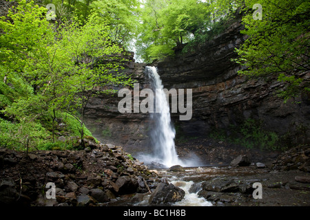 Hardraw Kraft angeblich Englands höchste Freefall Wasserfall obere Wensleydale Yorkshire Dales National Park Stockfoto