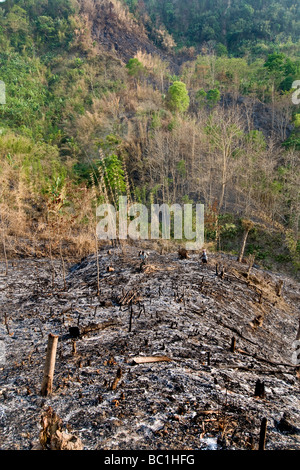 Bangladesch rund um Bandarban Tripura Stammes Stockfoto