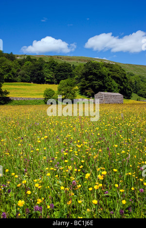 Heu Wiese und Scheune in der Nähe von Dorf Muker im Swaledale, North Yorkshire UK Stockfoto