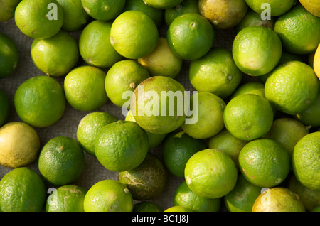 Frische Limetten, gestapelt auf einem Marktstand in Luang Prabang Laos Stockfoto