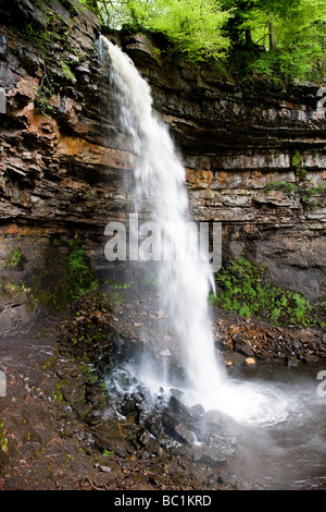 Hardraw Kraft angeblich Englands höchste Freefall Wasserfall obere Wensleydale Yorkshire Dales National Park Stockfoto