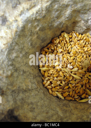 Weizen Mehl Getreide und Mühlstein Stockfoto