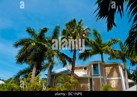 Palmen und typisches Haus gegen blauen Himmel in der Truman Annex. Key West. Florida Stockfoto