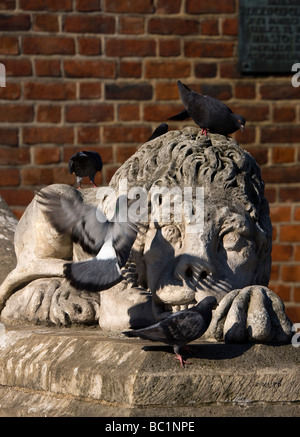 Polen Krakau Löwe und Tauben vom Turm des Rathauses am Marktplatz Stockfoto