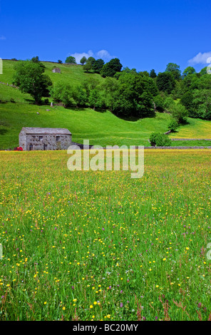 Heu Wiese und Scheune in der Nähe von Dorf Muker im Swaledale, North Yorkshire UK Stockfoto